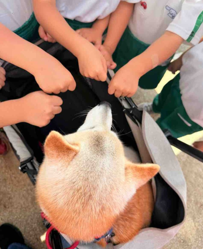 爪切り、三年かかってようやく
