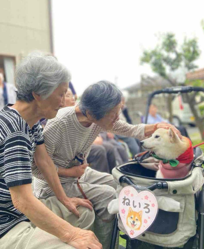 台風の前の日は、いつもそわそわしています